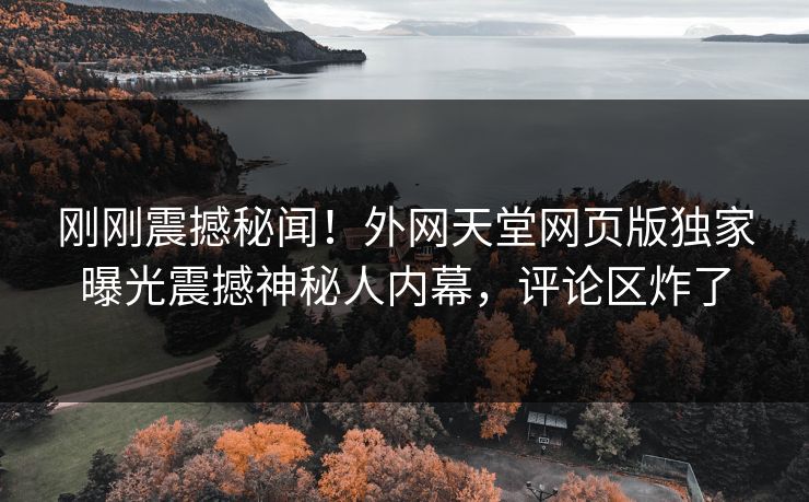 刚刚震撼秘闻！外网天堂网页版独家曝光震撼神秘人内幕，评论区炸了