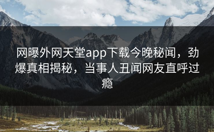 网曝外网天堂app下载今晚秘闻，劲爆真相揭秘，当事人丑闻网友直呼过瘾