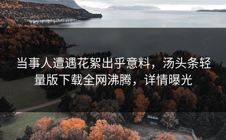 当事人遭遇花絮出乎意料，汤头条轻量版下载全网沸腾，详情曝光