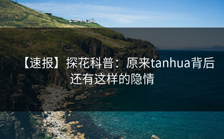 【速报】探花科普：原来tanhua背后还有这样的隐情